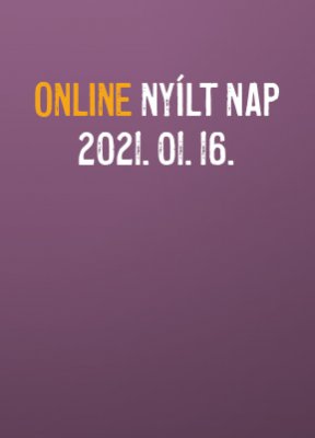 online-nyiltnap-202101161