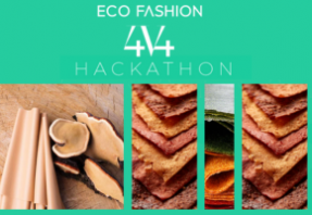 eco-fashion